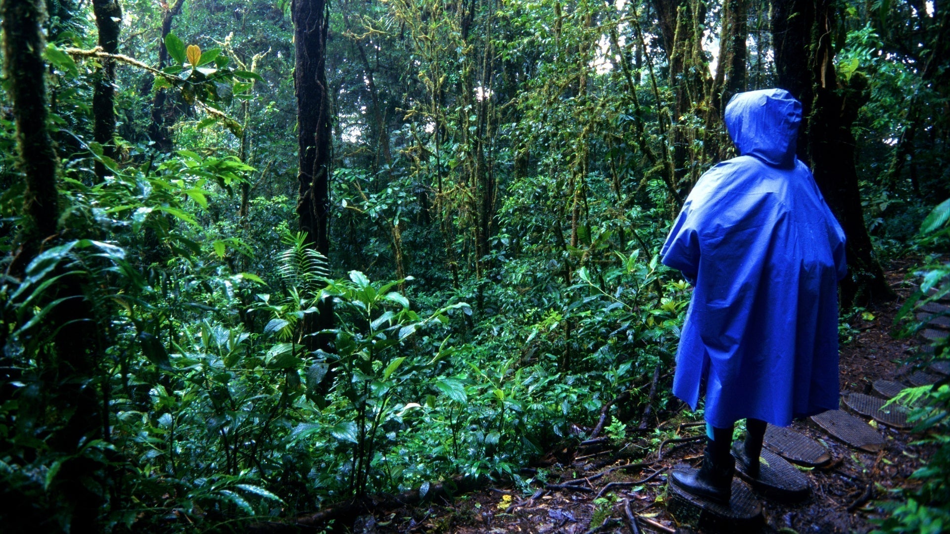 Are ponchos good for hiking ? | Pros, cons & expert tips